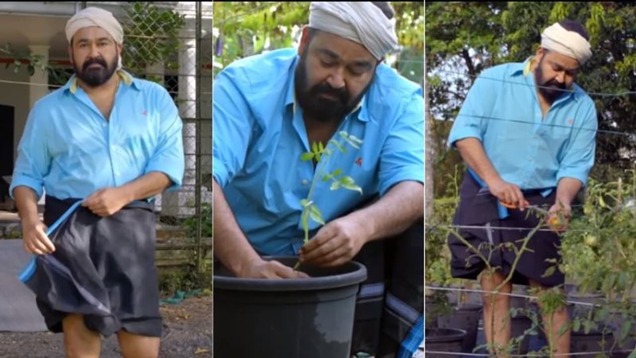 മുണ്ട് മടക്കിയുടുത്ത് തലയിൽ കെട്ടുമായി കർഷകൻ മോഹൻലാൽ; ഇത് ലോക്ക്ഡൗൺ കാലത്തെ ജൈവകൃഷി മുണ്ട് മടക്കിയുടുത്ത് തലയിൽ കെട്ടുമായി കർഷകൻ മോഹൻലാൽ; ഇത് ലോക്ക്ഡൗൺ കാലത്തെ ജൈവകൃഷി