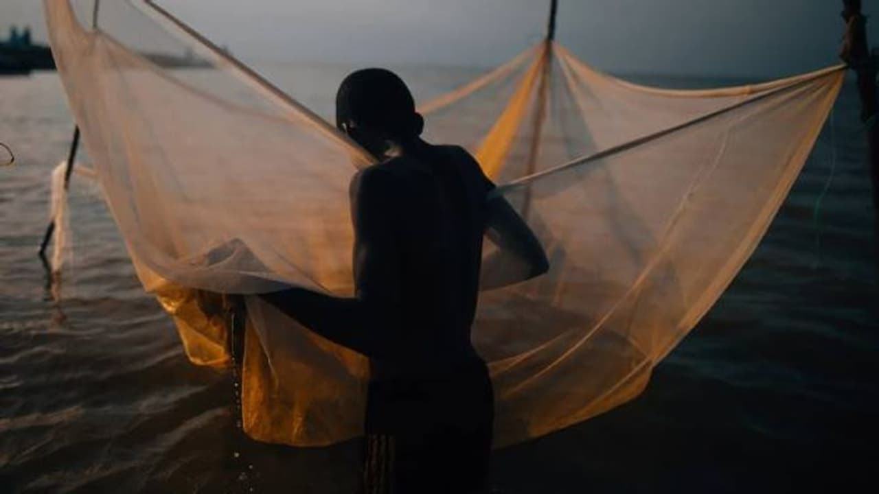 കുഞ്ഞുങ്ങളുടെ കണ്ണീരുപ്പ് കലർന്ന തടാകം, വോൾട്ടയിലെ അവസാനിക്കാത്ത ബാലവേല...