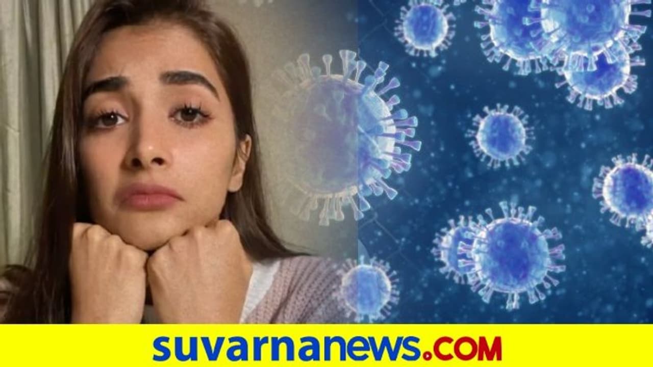 ಬಹುಭಾಷಾ ನಟಿ ಪೂಜಾ ಹೆಗ್ಡೆಗೆ ಕೊರೋನಾ ಪಾಸಿಟಿವ್ ಬಹುಭಾಷಾ ನಟಿ ಪೂಜಾ ಹೆಗ್ಡೆಗೆ ಕೊರೋನಾ ಪಾಸಿಟಿವ್