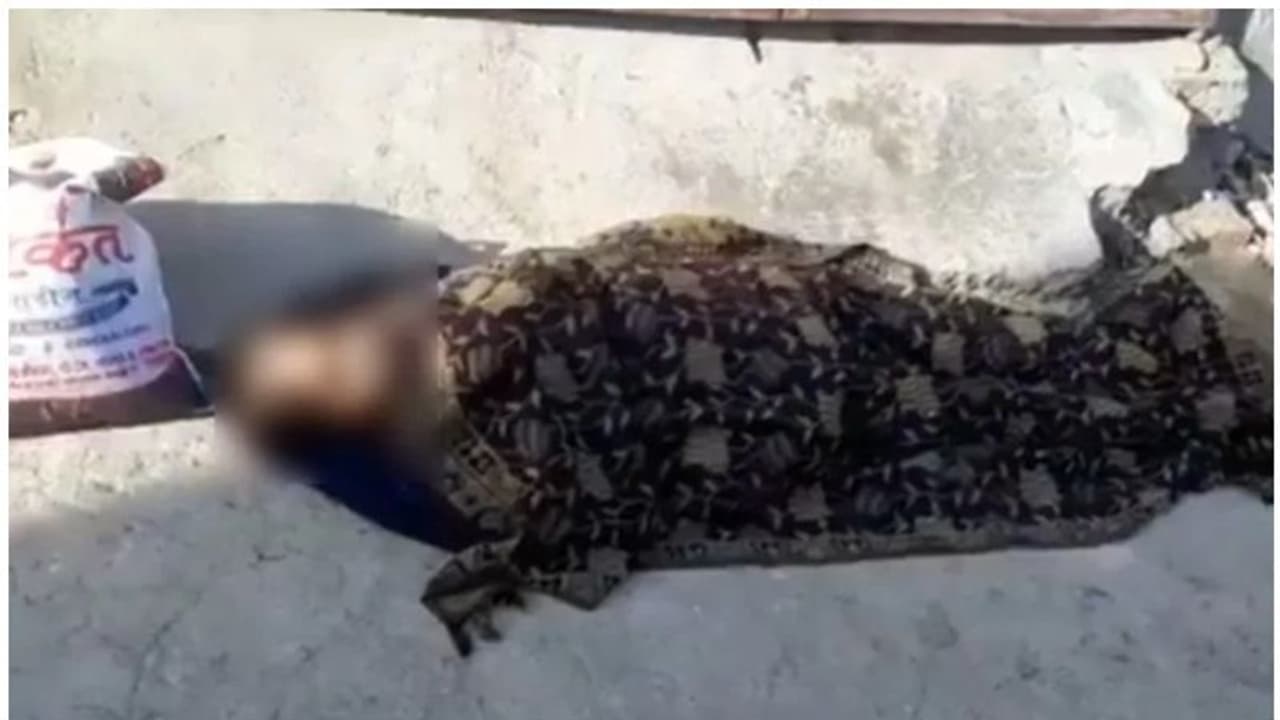 పట్టపగలే నడిరోడ్డుపై... రౌడీషీటర్ ను వెంటాడి నరికిచంపిన దుండగులు పట్టపగలే నడిరోడ్డుపై... రౌడీషీటర్ ను వెంటాడి నరికిచంపిన దుండగులు