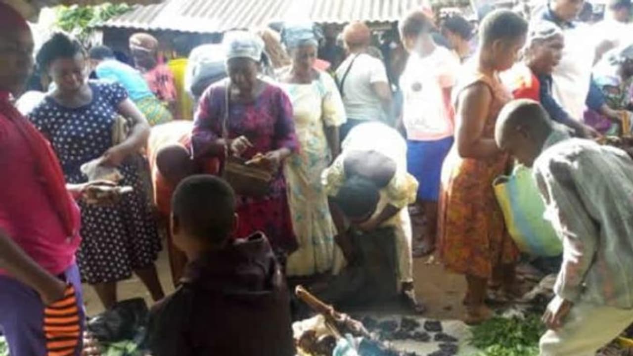 പണമില്ലാതെ ജീവിക്കാനാവുമോ? ഇതാ പണമില്ലാതെ കച്ചവടം നടക്കുന്ന മാർക്കറ്റ്; ഇവിടെ ഇന്നും ബാർട്ടർ സമ്പ്രദായം പണമില്ലാതെ ജീവിക്കാനാവുമോ? ഇതാ പണമില്ലാതെ കച്ചവടം നടക്കുന്ന മാർക്കറ്റ്; ഇവിടെ ഇന്നും ബാർട്ടർ സമ്പ്രദായം