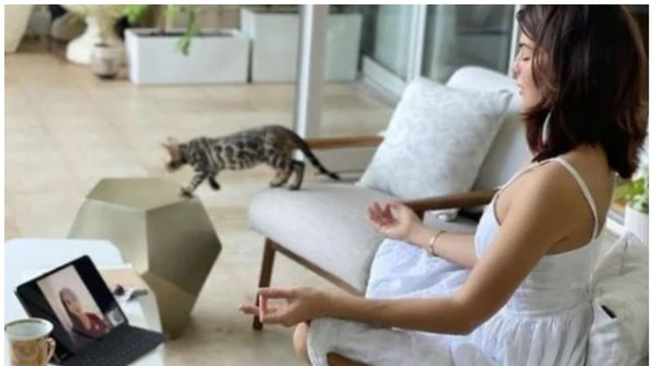 ഈ കൊവിഡ് കാലത്ത് പ്രാണായാമം ചെയ്യുന്നതിന്റെ പ്രധാന്യത്തെ കുറിച്ച് ജാക്വലിൻ ഫെർണാണ്ടസ്