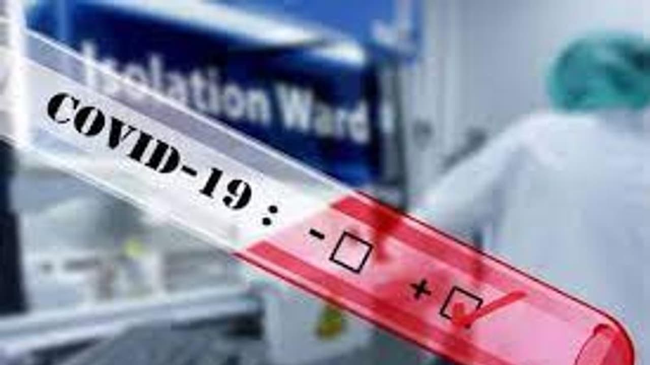 করোনা ছড়াচ্ছে পশু পাখীদের মধ্যেও, সতর্ক করল পরিবেশ মন্ত্রক