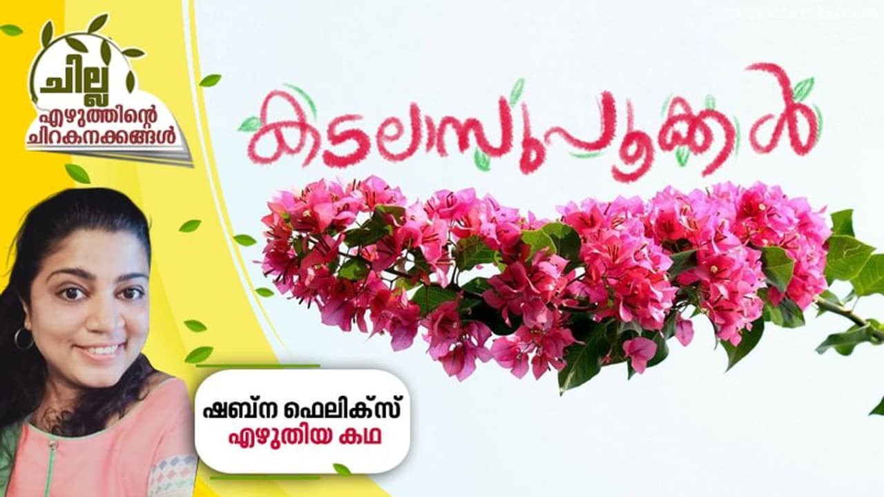 കടലാസുപൂക്കള്, ഷബ്ന ഫെലിക്സ് എഴുതിയ കഥ കടലാസുപൂക്കള്, ഷബ്ന ഫെലിക്സ് എഴുതിയ കഥ