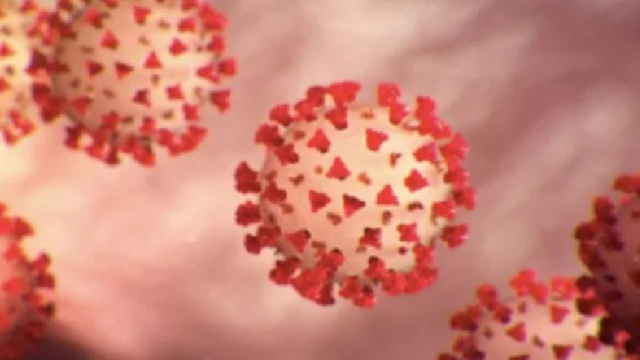 'ബ്രസീല് വൈറസ് കൊവിഡ് വ്യാപനം ശക്തമാക്കും, നേരത്തേ രോഗം വന്നവരില് വീണ്ടും വരാനും സാധ്യത' 'ബ്രസീല് വൈറസ് കൊവിഡ് വ്യാപനം ശക്തമാക്കും, നേരത്തേ രോഗം വന്നവരില് വീണ്ടും വരാനും സാധ്യത'