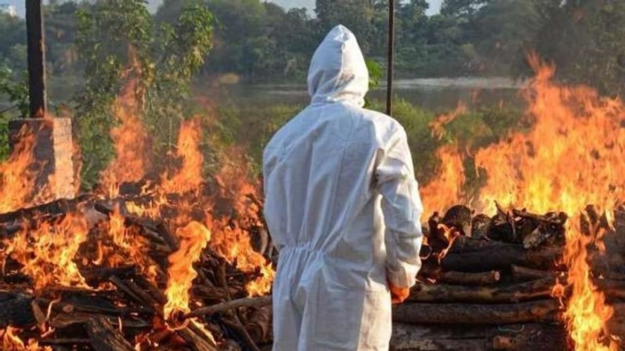 নির্যাতিতার মৃতদেহ দাহ করতে জোর খাটিয়েছিল, হাঁসখালি ধর্ষণকাণ্ডে সিবিআরও জালে আরও ৩ নির্যাতিতার মৃতদেহ দাহ করতে জোর খাটিয়েছিল, হাঁসখালি ধর্ষণকাণ্ডে সিবিআরও জালে আরও ৩