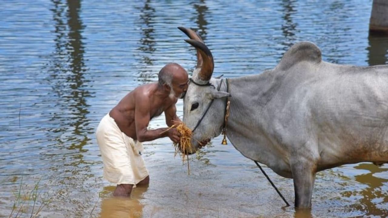 പൊന്കുന്നം വര്ക്കിയുടെ 'ശബ്ദിക്കുന്ന കലപ്പ'യുമായി ജയരാജ്; മെയ് ദിനത്തില് ഒടിടി റിലീസ് പൊന്കുന്നം വര്ക്കിയുടെ 'ശബ്ദിക്കുന്ന കലപ്പ'യുമായി ജയരാജ്; മെയ് ദിനത്തില് ഒടിടി റിലീസ്