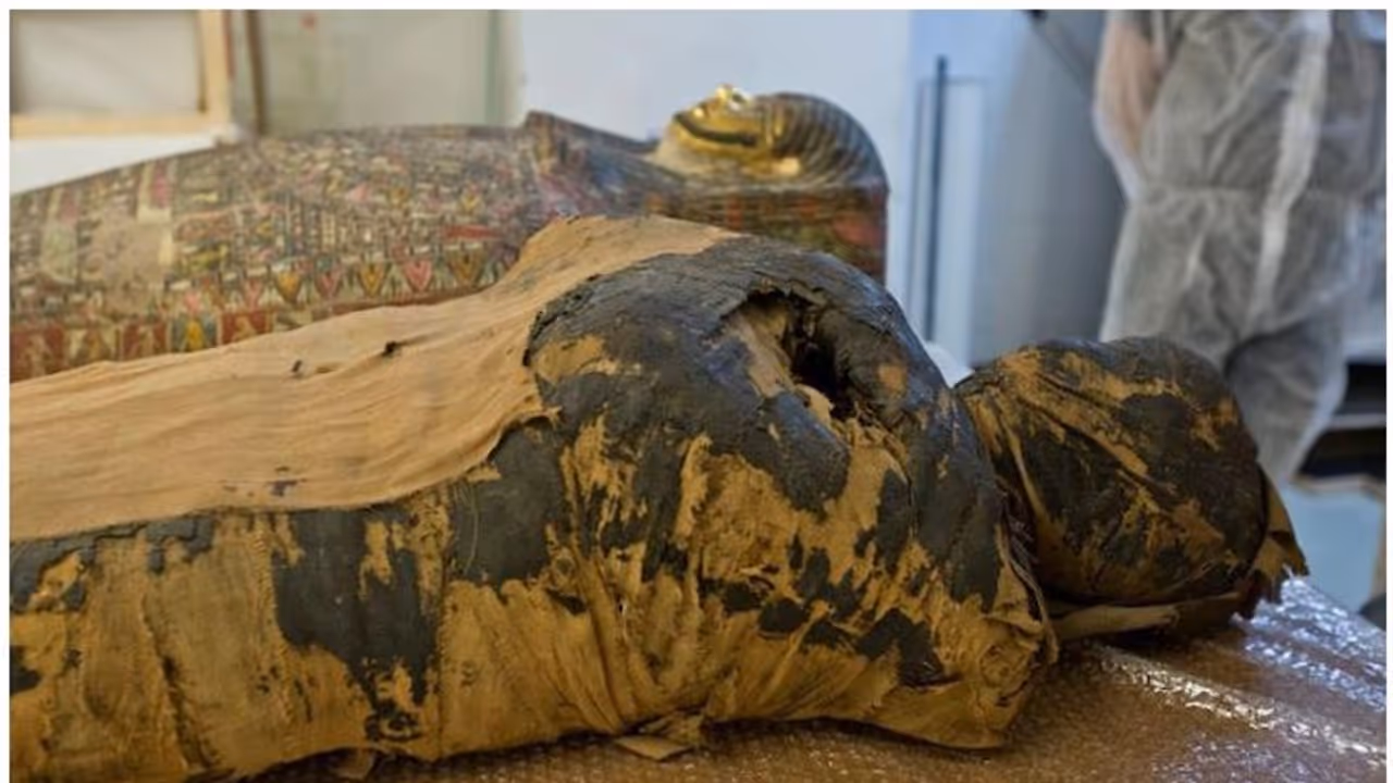 പുരോഹിതന്റെയെന്ന് കരുതി സൂക്ഷിച്ച മമ്മി; ഉള്ളില് കുഞ്ഞിക്കാൽ; പരിശോധിച്ചപ്പോൾ ഗർഭിണിയായ യുവതിയുടേത്! പുരോഹിതന്റെയെന്ന് കരുതി സൂക്ഷിച്ച മമ്മി; ഉള്ളില് കുഞ്ഞിക്കാൽ; പരിശോധിച്ചപ്പോൾ ഗർഭിണിയായ യുവതിയുടേത്!