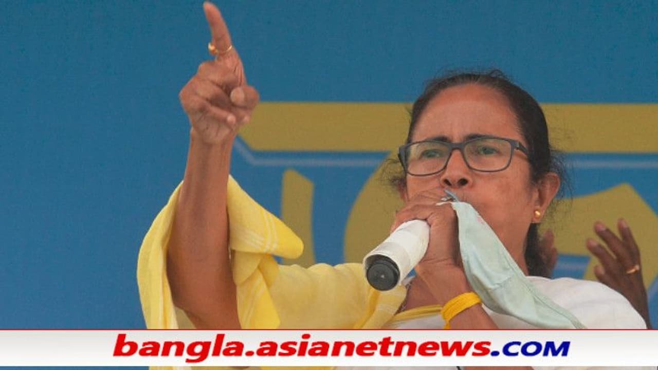 দেশে মোদী বিরোধী প্রধান মুখ হলেন মমতা, এক পায়ে বাংলা জেতার পর এবার কি দুই পায়ে দিল্লি