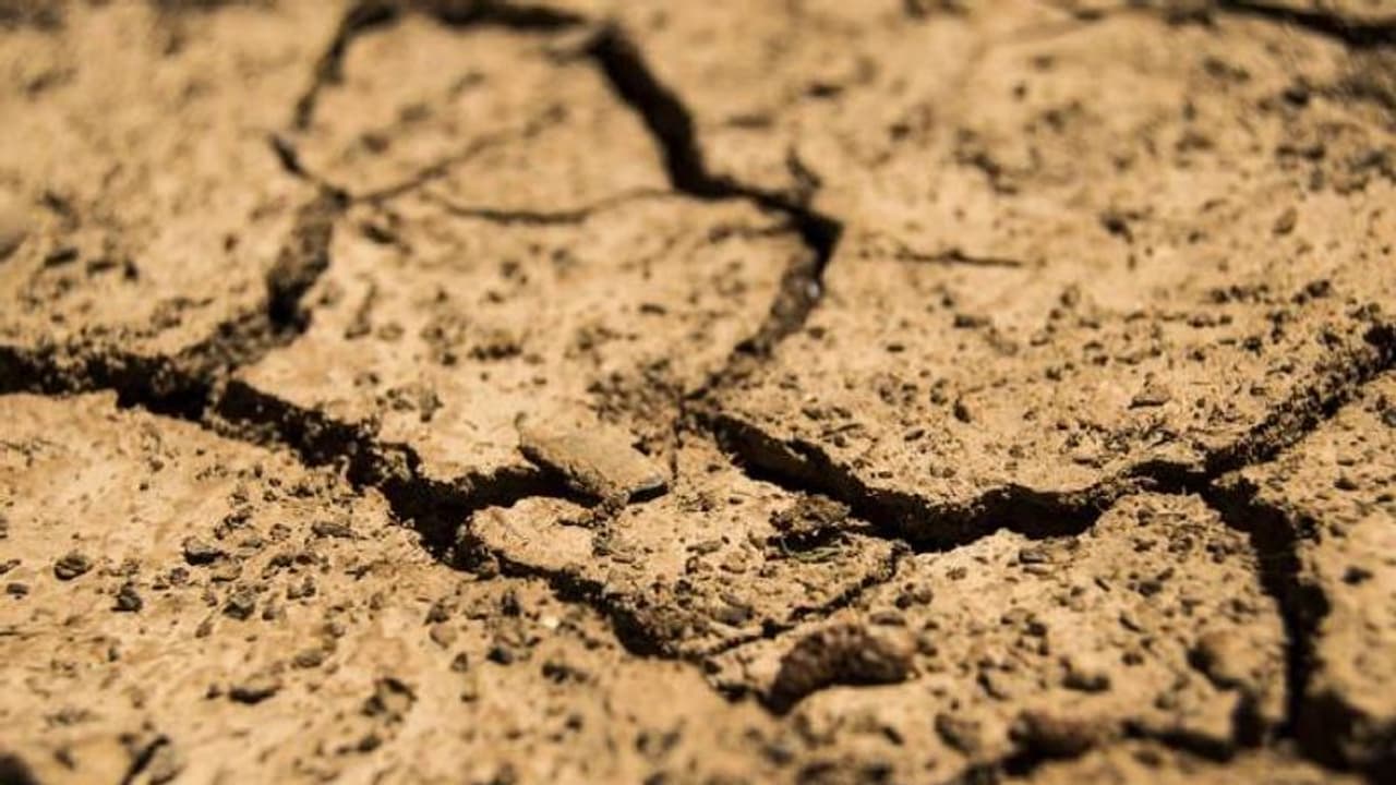 ഭക്ഷണത്തിനും വെള്ളത്തിനുമായി ഭാവിയില്‍ യുദ്ധമുണ്ടാവും, ഇല്ലെങ്കില്‍ ഈ തലമുറ ത്യാഗം ചെയ്യണം; യൂറോപ്യൻ യൂണിയന്‍