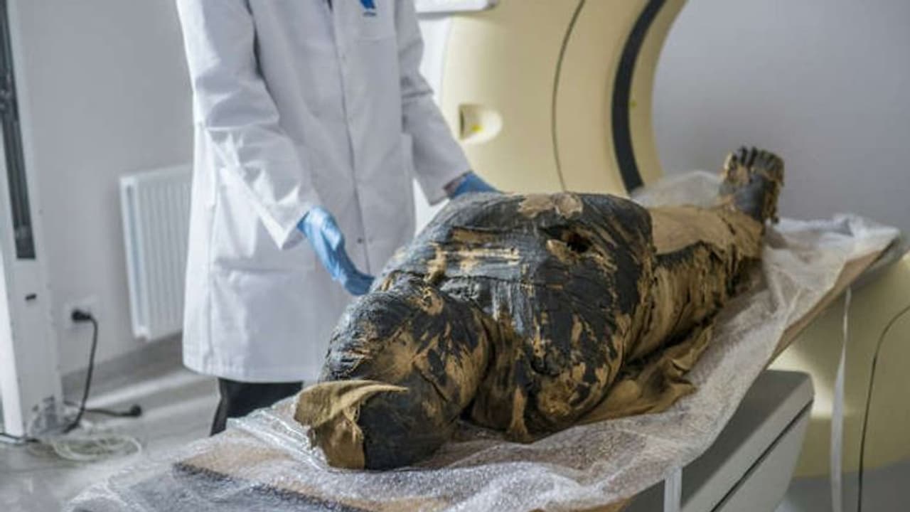 हैरान करने वाली रिसर्च: जिसे समझा जा रहा था पुजारी, वह निकली गर्भवती महिला की ममी हैरान करने वाली रिसर्च: जिसे समझा जा रहा था पुजारी, वह निकली गर्भवती महिला की ममी