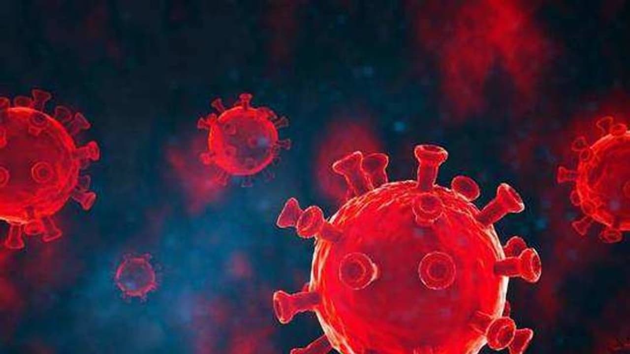 கொரோனா பாதிப்பில் முதலிடம்... உச்சக்கட்ட அச்சத்தில் கோவை மக்கள்...!