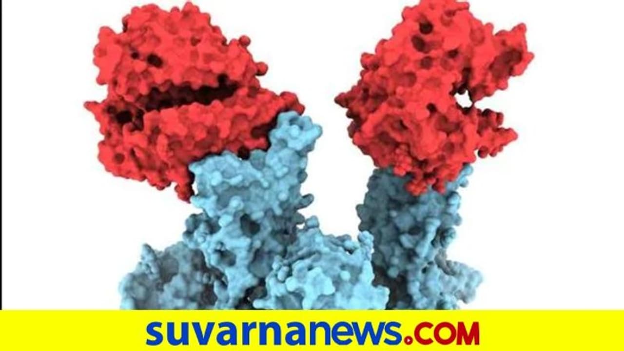 ಕೊರೋನಾ ವೇರಿಯೆಂಟ್ ಫೋಟೋ ರಿಲೀಸ್ ಮಾಡಿದ ಕೆನಡಾ ತಜ್ಞರು