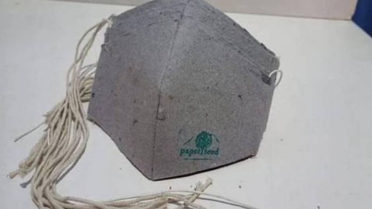 പ്രകൃതിക്ക് വലിയ അപകടമില്ലാതെ സീഡ് മാസ്കുകൾ, ചെടികൾ മുളച്ചുപൊങ്ങും പ്രകൃതിക്ക് വലിയ അപകടമില്ലാതെ സീഡ് മാസ്കുകൾ, ചെടികൾ മുളച്ചുപൊങ്ങും