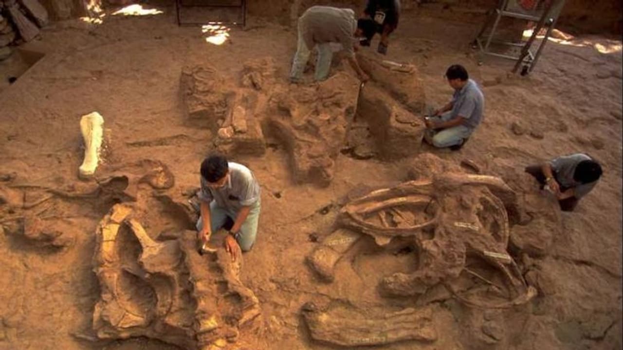 10 കോടി വർഷം പഴക്കമുള്ള ദിനോസറുകളുടെ ഫോസിൽ മേഘാലയയിൽ കണ്ടെത്തി 10 കോടി വർഷം പഴക്കമുള്ള ദിനോസറുകളുടെ ഫോസിൽ മേഘാലയയിൽ കണ്ടെത്തി