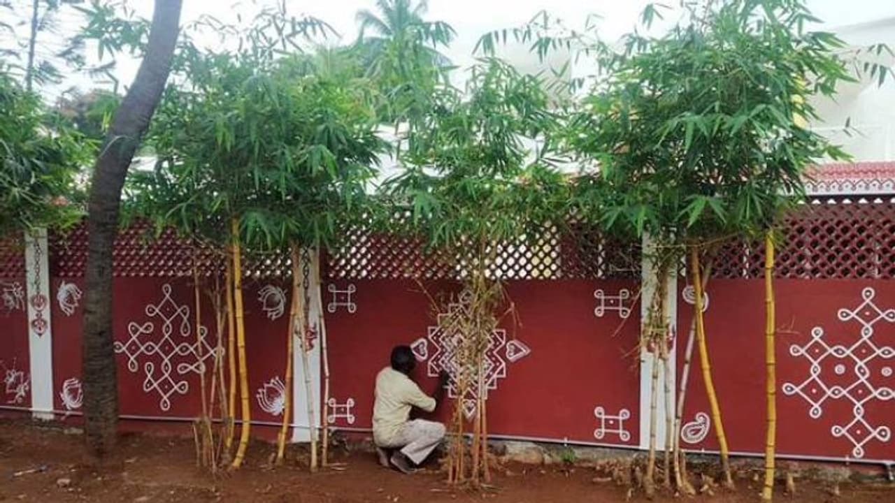 വീട്ടുമതിലിൽ കോലം വരയ്ക്കുന്നത് കണ്ടിട്ടുണ്ടോ? അമ്പരപ്പിച്ച് കലാകാരൻ വീട്ടുമതിലിൽ കോലം വരയ്ക്കുന്നത് കണ്ടിട്ടുണ്ടോ? അമ്പരപ്പിച്ച് കലാകാരൻ