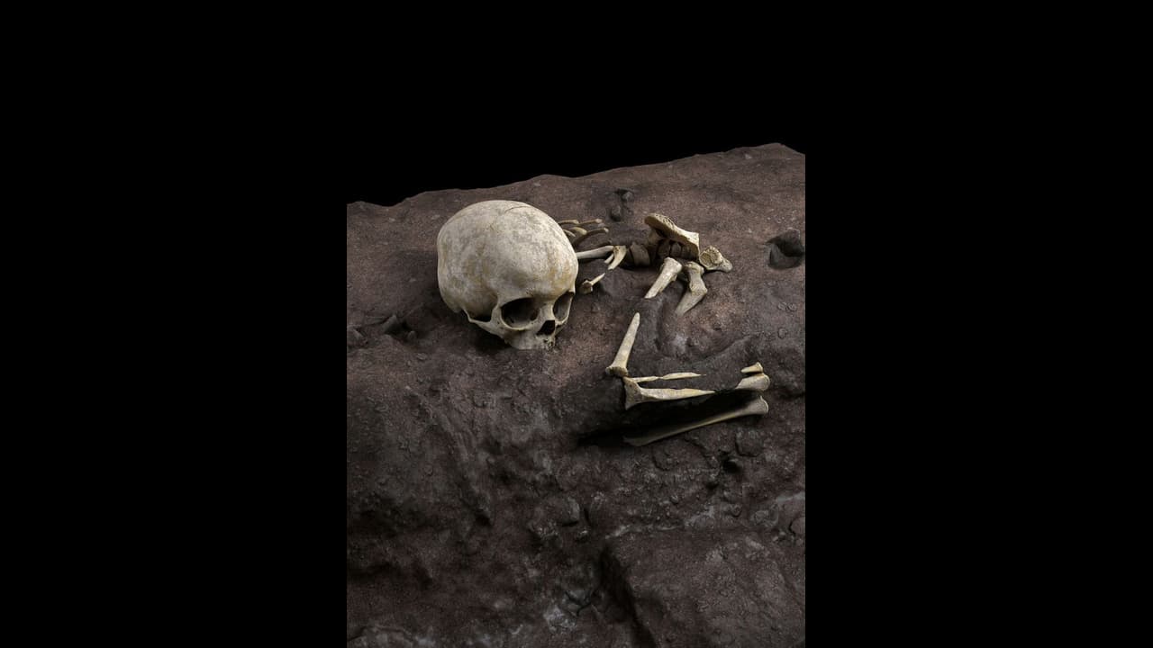 ಸತ್ತ ಮಹಿಳೆ ಬಾಯಲ್ಲಿತ್ತು ಇಟ್ಟಿಗೆ! ಅದು ಸೇರಿದ್ದೇಗೆ? ಅಂತೂ ಪತ್ತೆ ಹಚ್ಚಿದ ವಿಜ್ಞಾನಿಗಳು ಸತ್ತ ಮಹಿಳೆ ಬಾಯಲ್ಲಿತ್ತು ಇಟ್ಟಿಗೆ! ಅದು ಸೇರಿದ್ದೇಗೆ? ಅಂತೂ ಪತ್ತೆ ಹಚ್ಚಿದ ವಿಜ್ಞಾನಿಗಳು