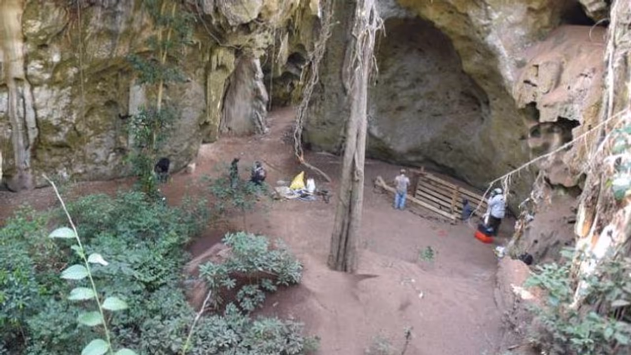 ആഫ്രിക്കയിൽ ഏറ്റവും പഴക്കമേറിയ ശ്മശാനം കണ്ടെത്തി, 78,000 വർഷങ്ങൾക്കുമുമ്പ് അടക്കിയ കുഞ്ഞിന്റെ ഭൗതികാവശിഷ്ടം ആഫ്രിക്കയിൽ ഏറ്റവും പഴക്കമേറിയ ശ്മശാനം കണ്ടെത്തി, 78,000 വർഷങ്ങൾക്കുമുമ്പ് അടക്കിയ കുഞ്ഞിന്റെ ഭൗതികാവശിഷ്ടം