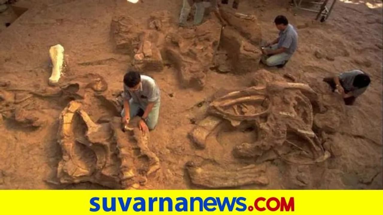 ಮೇಘಾಲಯದಲ್ಲಿ ಸಿಕ್ತು 10 ಕೋಟಿ ವರ್ಷ ಹಳೆಯ ಡೈನೋಸರ್ ಅವಶೇಷ ಮೇಘಾಲಯದಲ್ಲಿ ಸಿಕ್ತು 10 ಕೋಟಿ ವರ್ಷ ಹಳೆಯ ಡೈನೋಸರ್ ಅವಶೇಷ