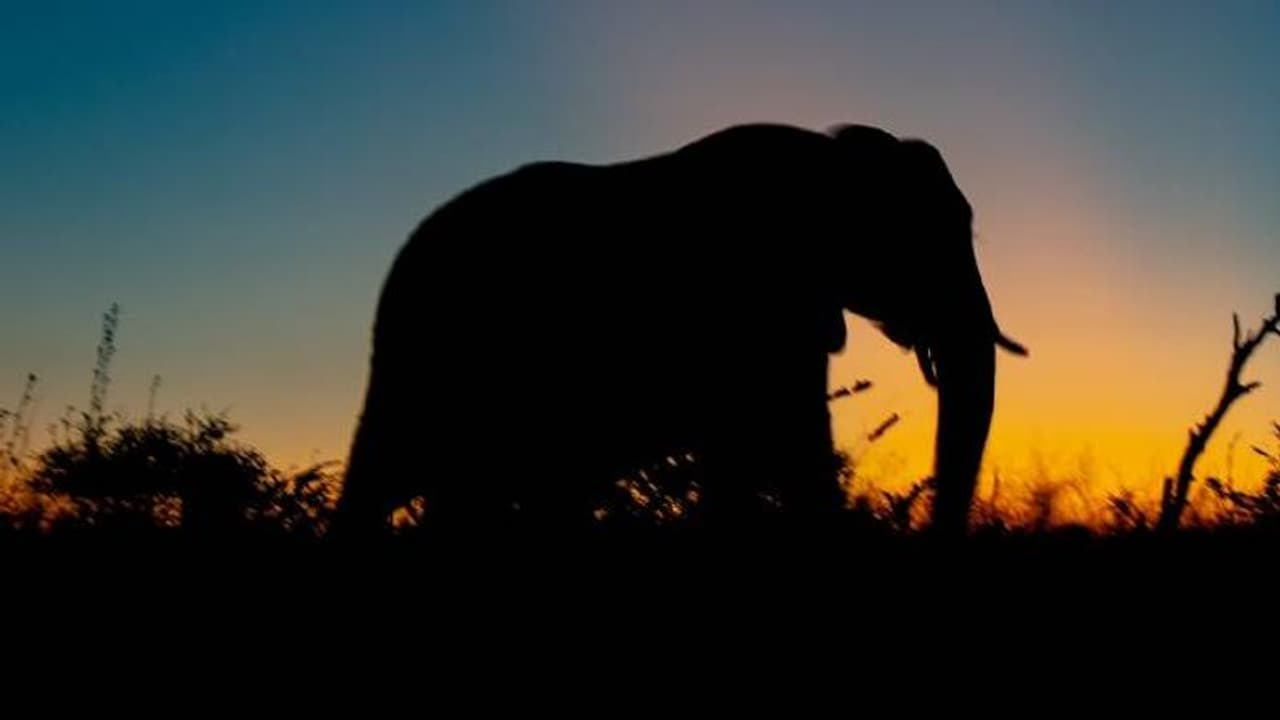 കാട്ടാനയുടെ ആക്രമണത്തിൽ റബ്ബർ ടാപ്പിങ് തൊഴിലാളികൾക്ക് ദാരുണാന്ത്യം