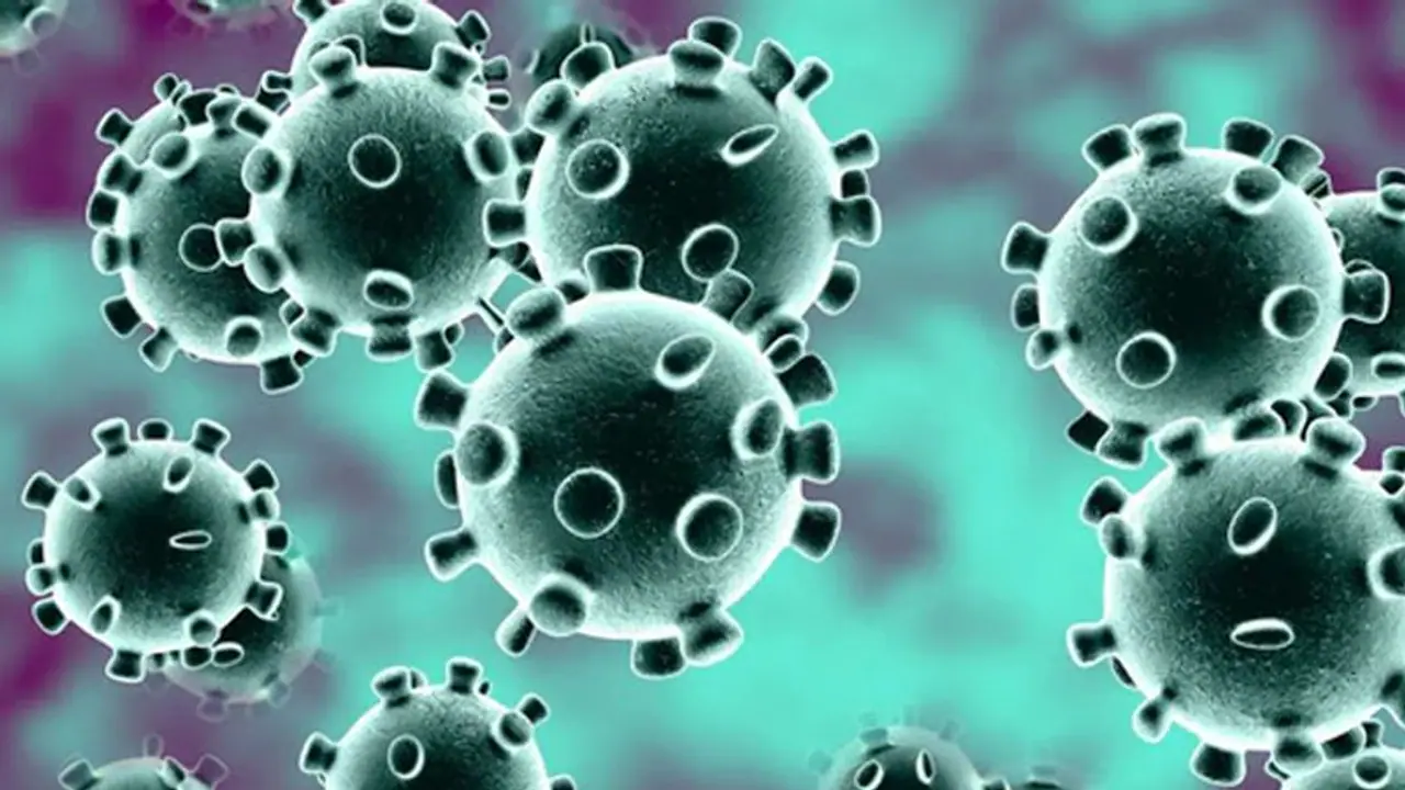 కోవిడ్ కేసులు, మరణాల్లో ఇప్పుడు టాప్ కర్ణాటక.. రెండోస్థానానికి మహారాష్ట్ర