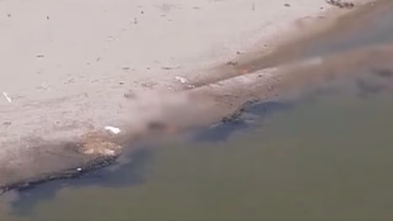 గంగానదిలో శవాలు : యూపీనుంచి కొట్టుకొచ్చినవే.. బీహార్.. గంగానదిలో శవాలు : యూపీనుంచి కొట్టుకొచ్చినవే.. బీహార్..