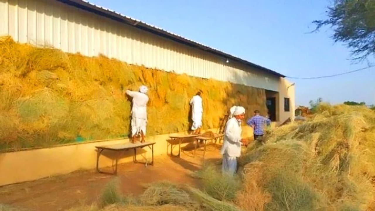 ಕೋವಿಡ್ ಸೆಂಟರ್ ಆದ ಗೋಶಾಲೆ: ಹಾಲು, ಗೋಮೂತ್ರದ ಚಿಕಿತ್ಸೆ, ಆಕ್ಸಿಜನ್ಗೂ ಇದೆ ವ್ಯವಸ್ಥೆ! ಕೋವಿಡ್ ಸೆಂಟರ್ ಆದ ಗೋಶಾಲೆ: ಹಾಲು, ಗೋಮೂತ್ರದ ಚಿಕಿತ್ಸೆ, ಆಕ್ಸಿಜನ್ಗೂ ಇದೆ ವ್ಯವಸ್ಥೆ!
