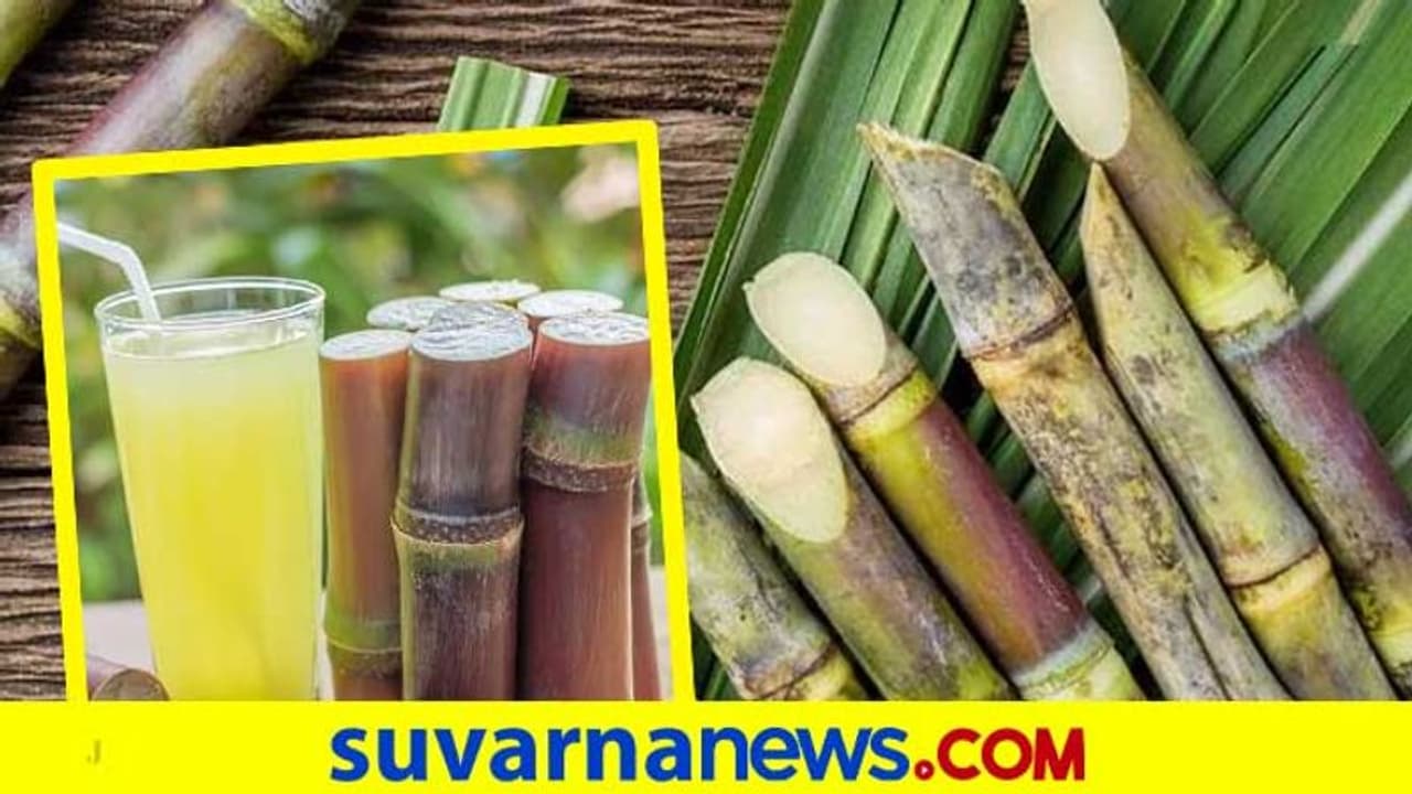  Vijayapura : ಕಬ್ಬಿಗೆ ಎಫ್‌ಆರ್‌ಪಿ ದರ ಘೋಷಣೆಗೆ ಆಗ್ರಹ