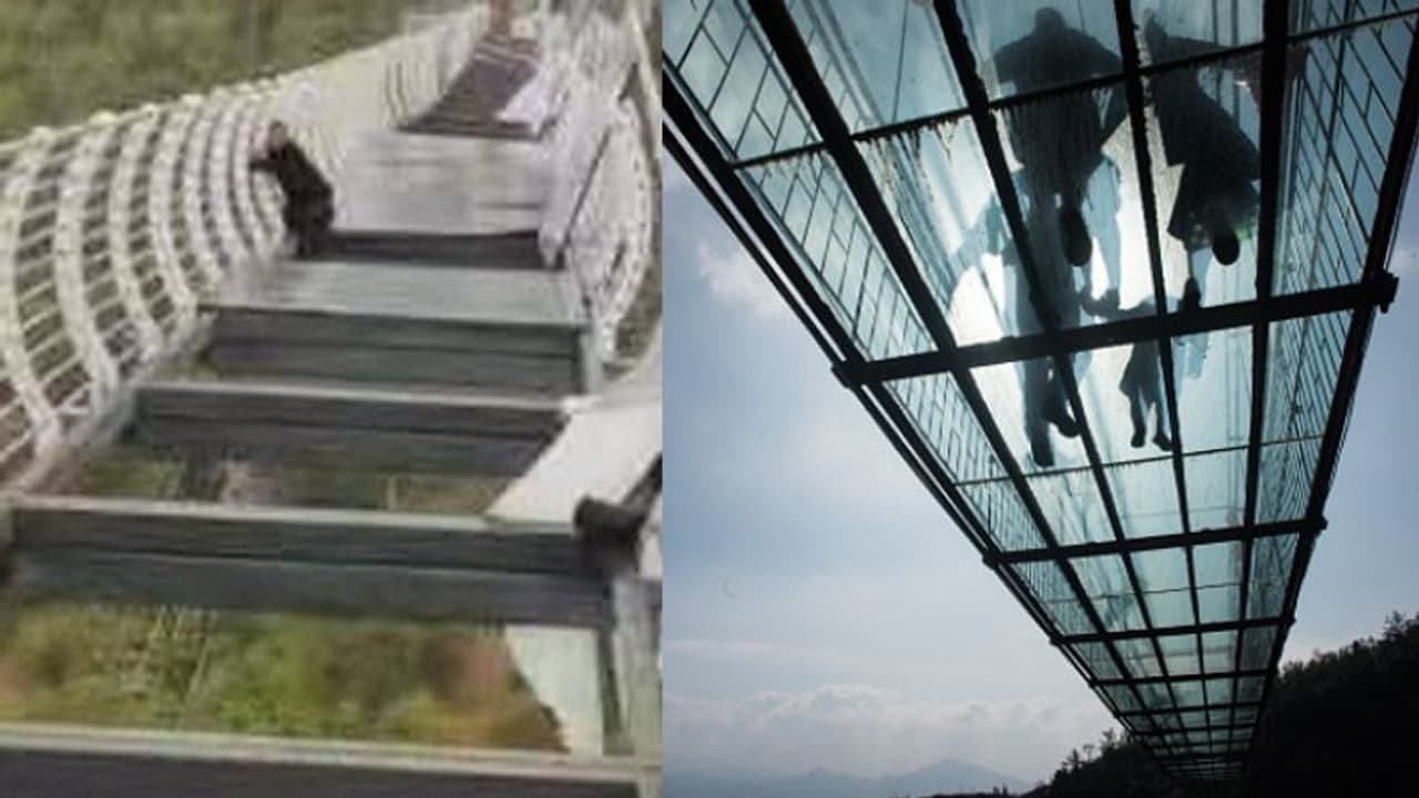 വീശിയടിച്ച കാറ്റില് ചില്ലുപാലം തകര്ന്നു, വിനോദസഞ്ചാരിക്ക് അത്ഭുത രക്ഷപെടല് വീശിയടിച്ച കാറ്റില് ചില്ലുപാലം തകര്ന്നു, വിനോദസഞ്ചാരിക്ക് അത്ഭുത രക്ഷപെടല്