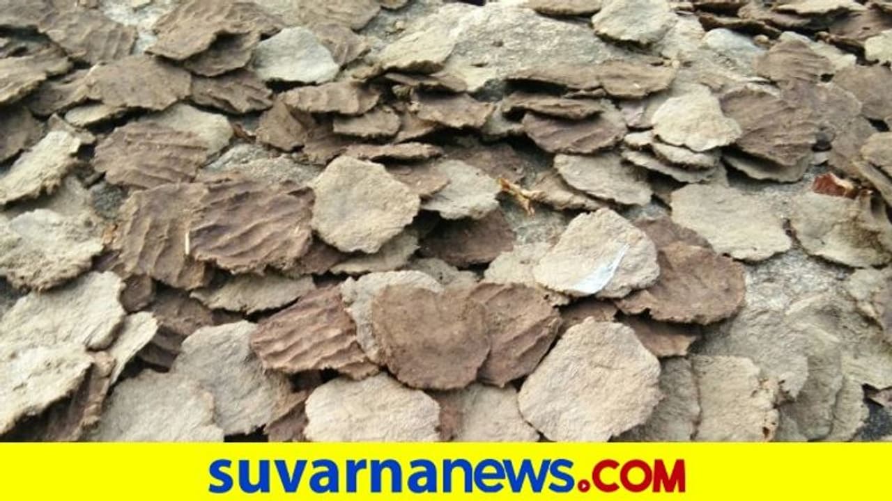 ಅಮೆರಿಕ ಏರ್ಪೋರ್ಟ್ನಲ್ಲಿ ಭಾರತೀಯನ ಬ್ಯಾಗ್ನಲ್ಲಿ ಸಿಕ್ತು ಸೆಗಣಿ ಬೆರಣಿ ಅಮೆರಿಕ ಏರ್ಪೋರ್ಟ್ನಲ್ಲಿ ಭಾರತೀಯನ ಬ್ಯಾಗ್ನಲ್ಲಿ ಸಿಕ್ತು ಸೆಗಣಿ ಬೆರಣಿ