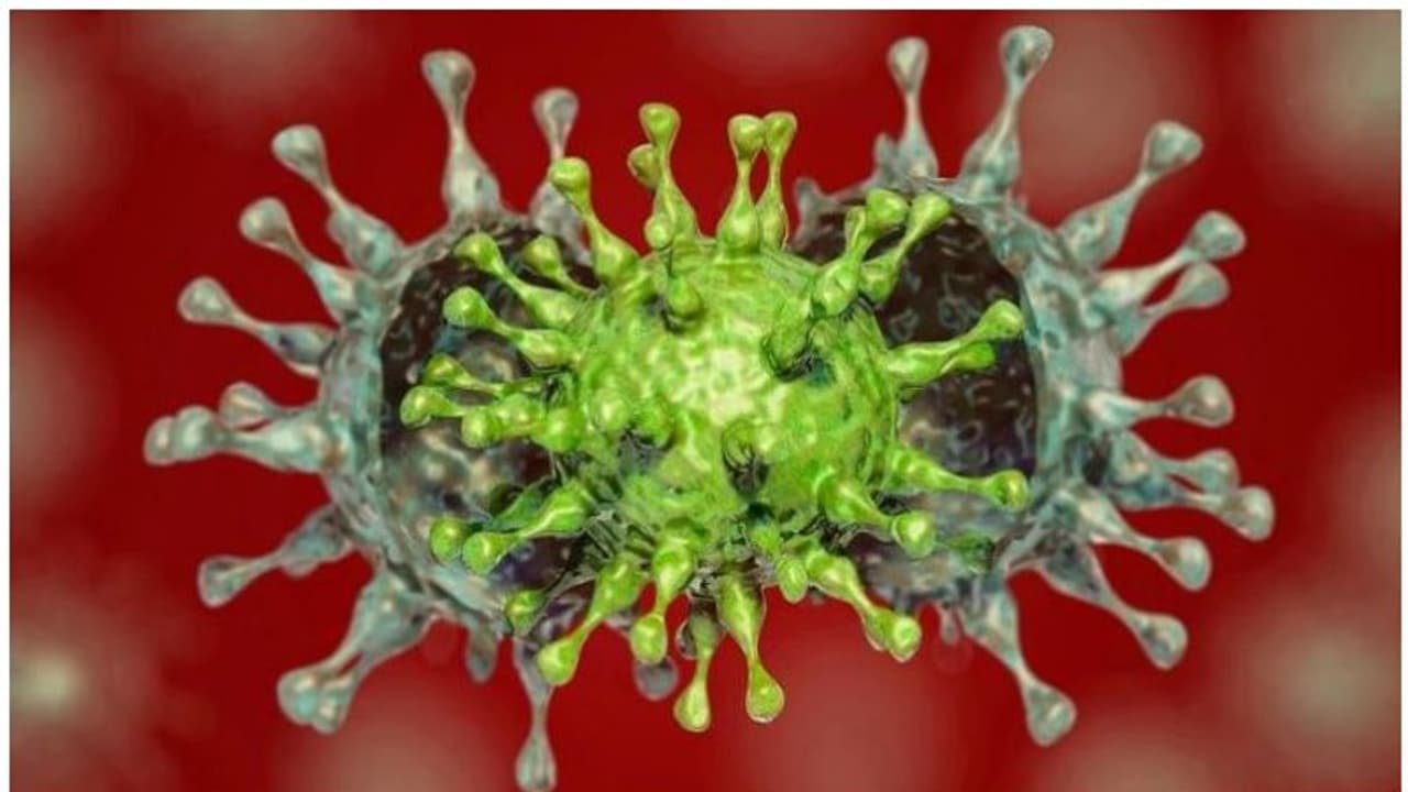 കൊറോണ വൈറസിന്റെ ഇന്ത്യന്‍ വകഭേദമായ ബി 1617 ആഗോളതലത്തില്‍ തന്നെ ആശങ്കയുണ്ടാക്കുന്നതായി ലോകാരോഗ്യ സംഘടന