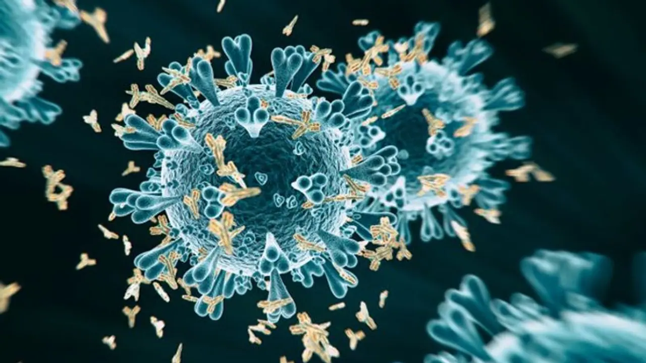 சிகிச்சை கிடைக்காமல் கொரோனாவால் பலியானதாக எந்த புகாரும் இல்லை... உயர் நீதிமன்றம் உறுதி...! சிகிச்சை கிடைக்காமல் கொரோனாவால் பலியானதாக எந்த புகாரும் இல்லை... உயர் நீதிமன்றம் உறுதி...!