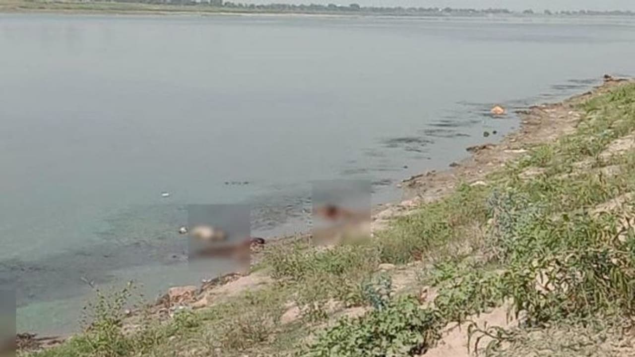 ഗംഗയില് മൃതദേഹങ്ങള് ഒഴുകിയെത്തിയ സംഭവം; വെള്ളത്തിലൂടെ കൊറോണ വൈറസ് പടരുമോയെന്ന് ആശങ്ക ഗംഗയില് മൃതദേഹങ്ങള് ഒഴുകിയെത്തിയ സംഭവം; വെള്ളത്തിലൂടെ കൊറോണ വൈറസ് പടരുമോയെന്ന് ആശങ്ക