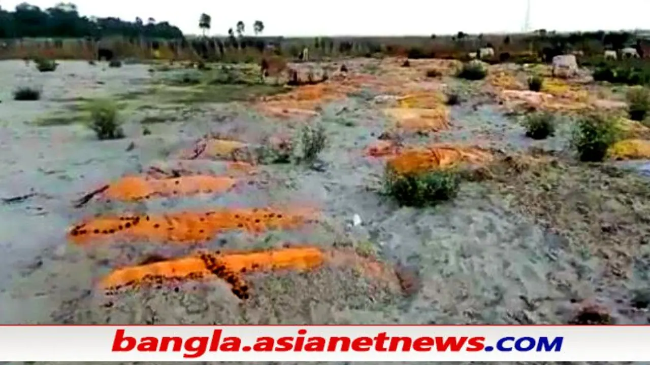 গঙ্গার পাড়ে বালিতে পোতা সার সার দেহ দুর্গন্ধে ছেয়েছে এলাকা, ছড়াচ্ছে কোভিড আতঙ্ক, দেখুন গঙ্গার পাড়ে বালিতে পোতা সার সার দেহ দুর্গন্ধে ছেয়েছে এলাকা, ছড়াচ্ছে কোভিড আতঙ্ক, দেখুন