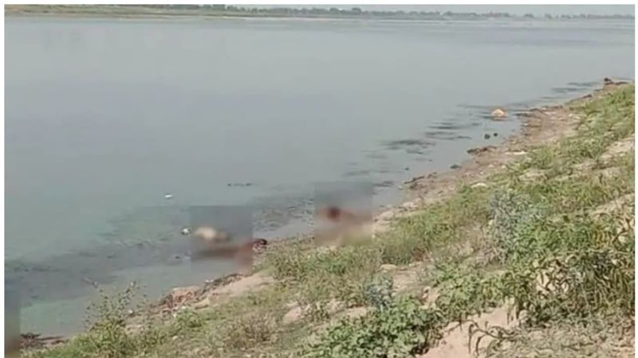 ഗംഗയില് മൃതദേഹങ്ങള് ഒഴുകിയെത്തിയ സംഭവം: കേന്ദ്രത്തിനും സംസ്ഥാനങ്ങൾക്കും ദേശീയ മനുഷ്യാവകാശ കമ്മീഷൻ നോട്ടീസ് ഗംഗയില് മൃതദേഹങ്ങള് ഒഴുകിയെത്തിയ സംഭവം: കേന്ദ്രത്തിനും സംസ്ഥാനങ്ങൾക്കും ദേശീയ മനുഷ്യാവകാശ കമ്മീഷൻ നോട്ടീസ്