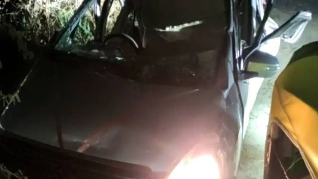 पेड़ से टकराई कार, 3 लोगों की मौत, दूल्हा समेत 4 रिश्तेदारों की हालत नाजुक पेड़ से टकराई कार, 3 लोगों की मौत, दूल्हा समेत 4 रिश्तेदारों की हालत नाजुक