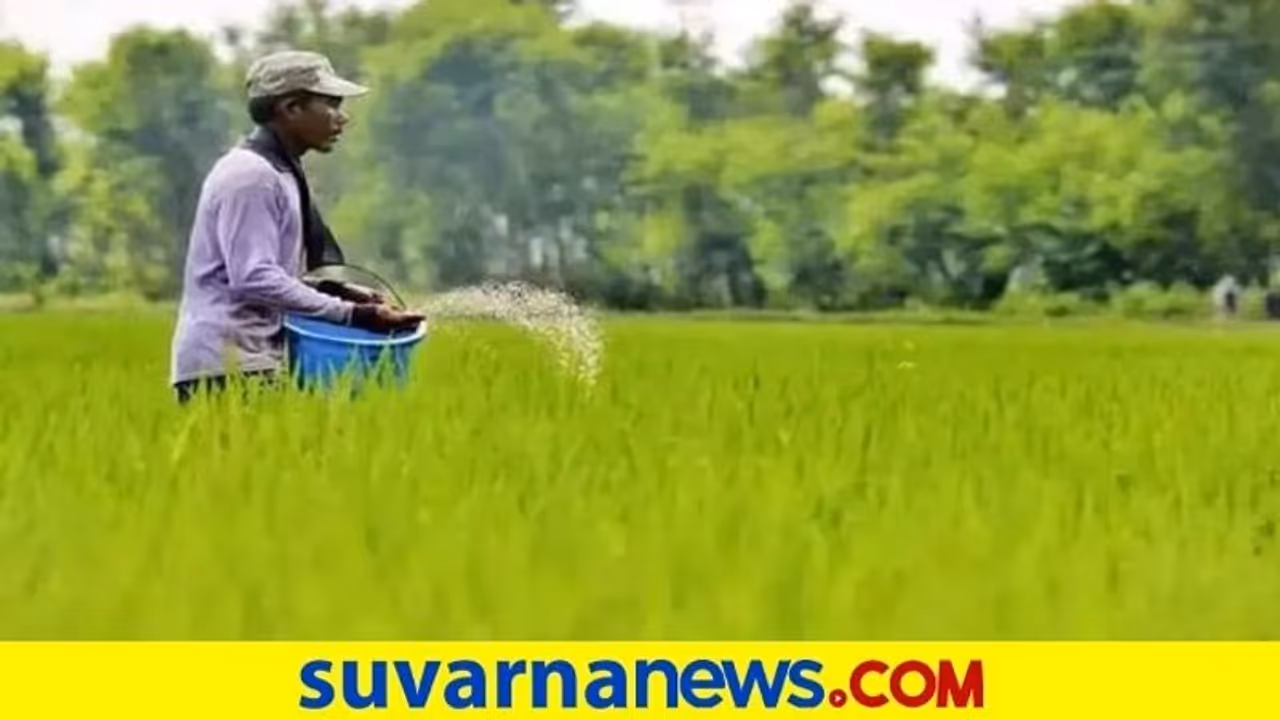 Subsidy Fertilizer | ಸಬ್ಸಿಡಿ ರಸಗೊಬ್ಬರ ಅಕ್ರಮ ತಡೆಗೆ ಕೇಂದ್ರ ಕಟ್ಟಪ್ಪಣೆ