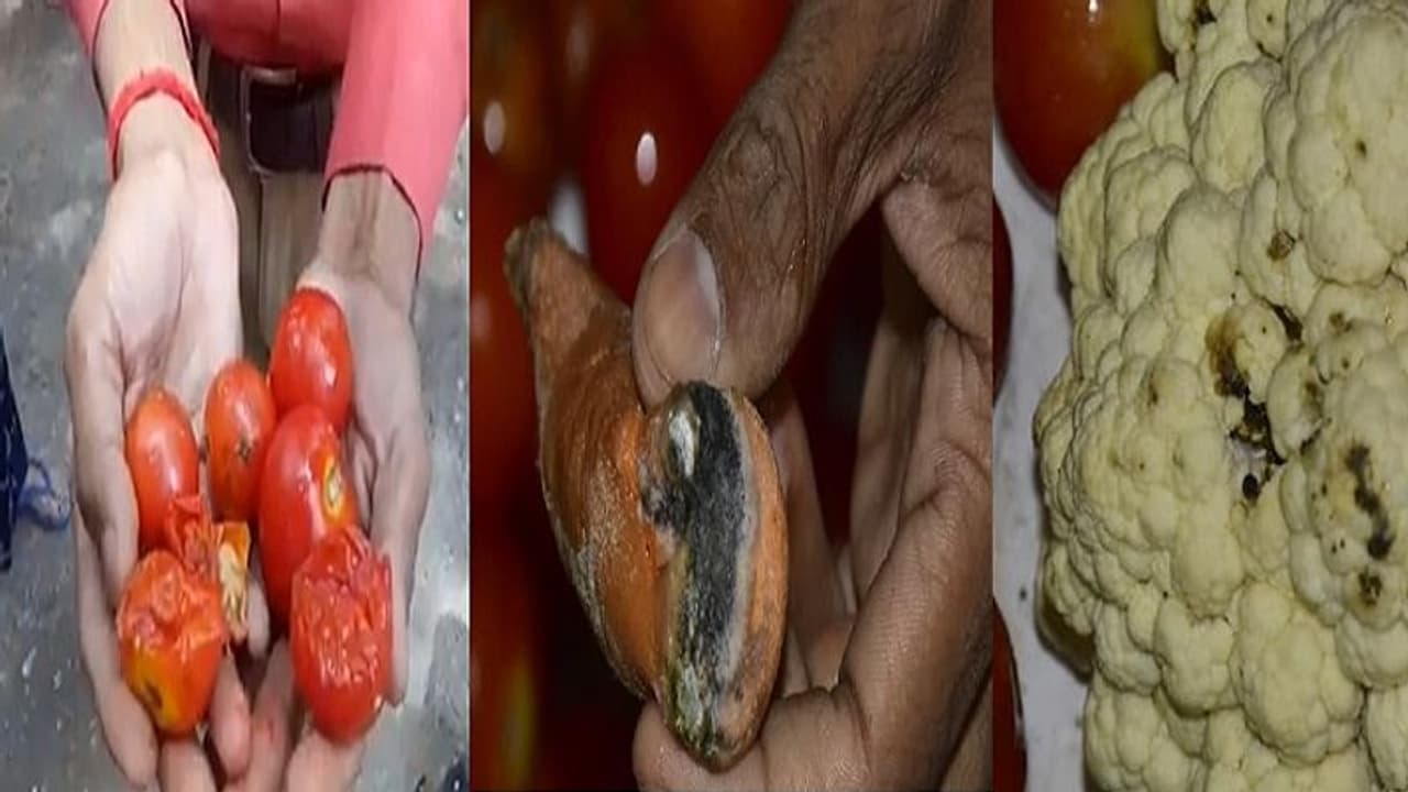 ऐसे जीतेंगे जंगःकोरोना वारियर्स स्वास्थ्य कर्मियों को ही परोसा जा रहा सड़ा गला बासी खाना,वायरल हो रही तस्वीरें ऐसे जीतेंगे जंगःकोरोना वारियर्स स्वास्थ्य कर्मियों को ही परोसा जा रहा सड़ा गला बासी खाना,वायरल हो रही तस्वीरें