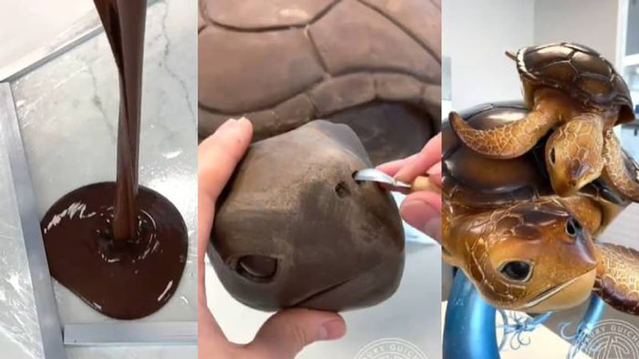 ഇത് ചോക്ലേറ്റ് കൊണ്ടുള്ള കടലാമ; വീഡിയോ പങ്കുവച്ച് ഷെഫ്; അമ്പരന്ന് സോഷ്യല്‍ മീഡിയ