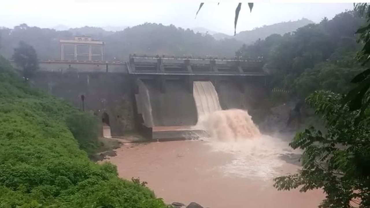 കല്ലാർകുട്ടി ഡാമിൽ രണ്ടുപേർ ചാടിയതായി സംശയം ; കാഞ്ഞിരപ്പള്ളി സ്വദേശികളായ അച്ഛനും മകളുമെന്ന് സംശയം കല്ലാർകുട്ടി ഡാമിൽ രണ്ടുപേർ ചാടിയതായി സംശയം ; കാഞ്ഞിരപ്പള്ളി സ്വദേശികളായ അച്ഛനും മകളുമെന്ന് സംശയം