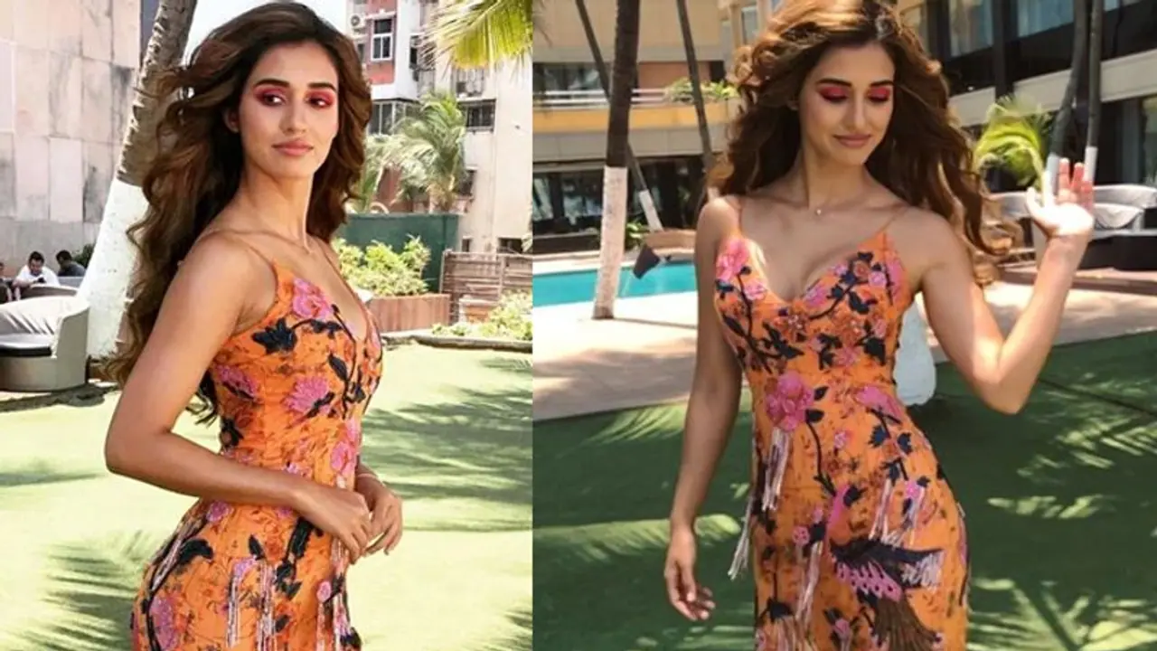 Here's how Disha Patani's fans celebrated her birthday, pictures inside! Here's how Disha Patani's fans celebrated her birthday, pictures inside!