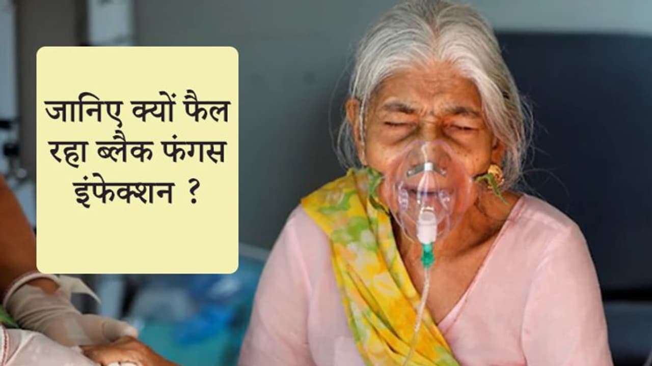 जानिए क्यों फैल रहा ब्लैक फंगस इंफेक्शन....एम्स डायरेक्टर गुलेरिया ने बताया कैसे इससे बचा जा सकता है जानिए क्यों फैल रहा ब्लैक फंगस इंफेक्शन....एम्स डायरेक्टर गुलेरिया ने बताया कैसे इससे बचा जा सकता है