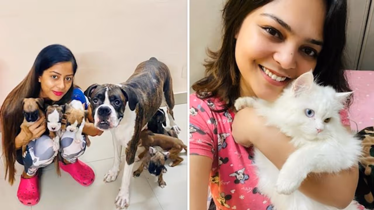 Can animals make you feel happy, boost mental health amid lockdown? Six pet owners share their experiences