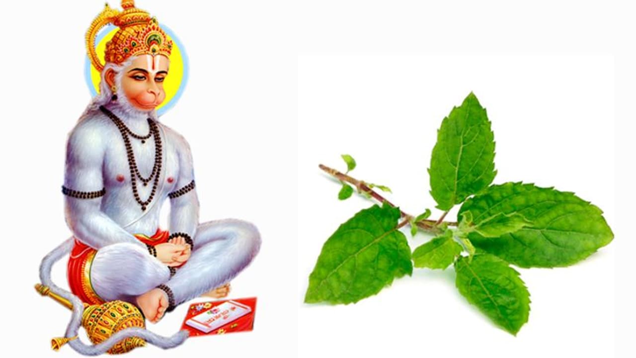 హనుమజ్జయంతి హనుమజ్జయంతి