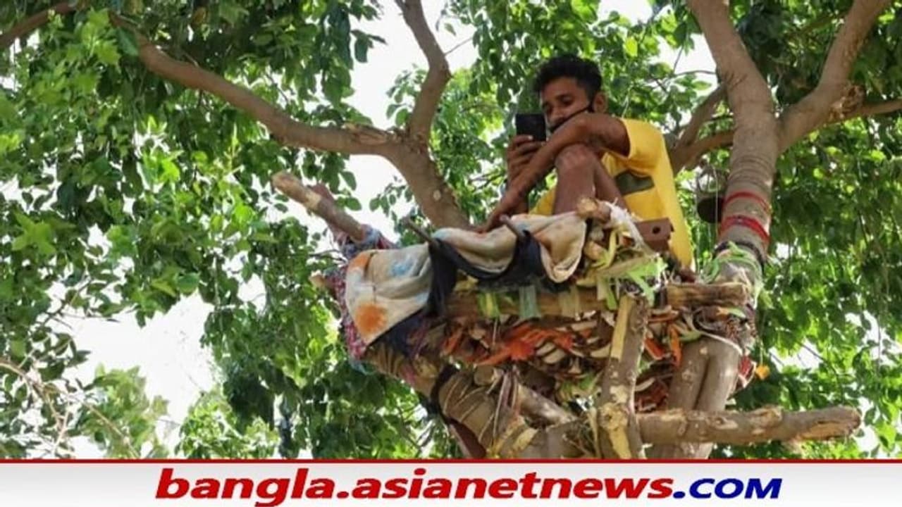 কোভিড এ বেআব্রু গ্রমীণ ভারত, গাছেই আইসোলেন ওয়ার্ড বানালেন করোনা আক্রান্ত কোভিড এ বেআব্রু গ্রমীণ ভারত, গাছেই আইসোলেন ওয়ার্ড বানালেন করোনা আক্রান্ত