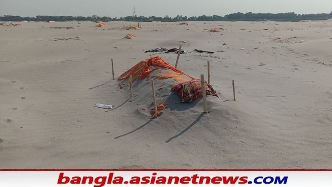 পবিত্র প্রয়াগরাজ যেন 'সমাধিস্থল', গঙ্গার চরে শতাধিক দেহ ঘিরে প্রবল চাঞ্চল্য পবিত্র প্রয়াগরাজ যেন 'সমাধিস্থল', গঙ্গার চরে শতাধিক দেহ ঘিরে প্রবল চাঞ্চল্য