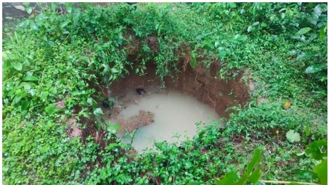 ಬೆಳಗಾವಿ; 'ನನ್ನ ಹೊಲದಲ್ಲಿದ್ದ ಬಾವಿ ಕಾಣೆಯಾಗಿದೆ, ಹುಡುಕಿಕೊಡಿ' ಬೆಳಗಾವಿ; 'ನನ್ನ ಹೊಲದಲ್ಲಿದ್ದ ಬಾವಿ ಕಾಣೆಯಾಗಿದೆ, ಹುಡುಕಿಕೊಡಿ'