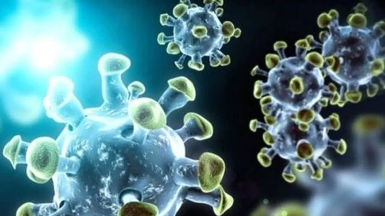 ലോകത്തിനു ഭീഷണിയായി പുതിയ ഇനം കൊറോണ വൈറസ് ; ഇന്ത്യയിലും ബ്രിട്ടനിലുമുള്ള വൈറസുകളുടെ സംയുക്ത ഇനമെന്ന് ഗവേഷകർ ലോകത്തിനു ഭീഷണിയായി പുതിയ ഇനം കൊറോണ വൈറസ് ; ഇന്ത്യയിലും ബ്രിട്ടനിലുമുള്ള വൈറസുകളുടെ സംയുക്ത ഇനമെന്ന് ഗവേഷകർ
