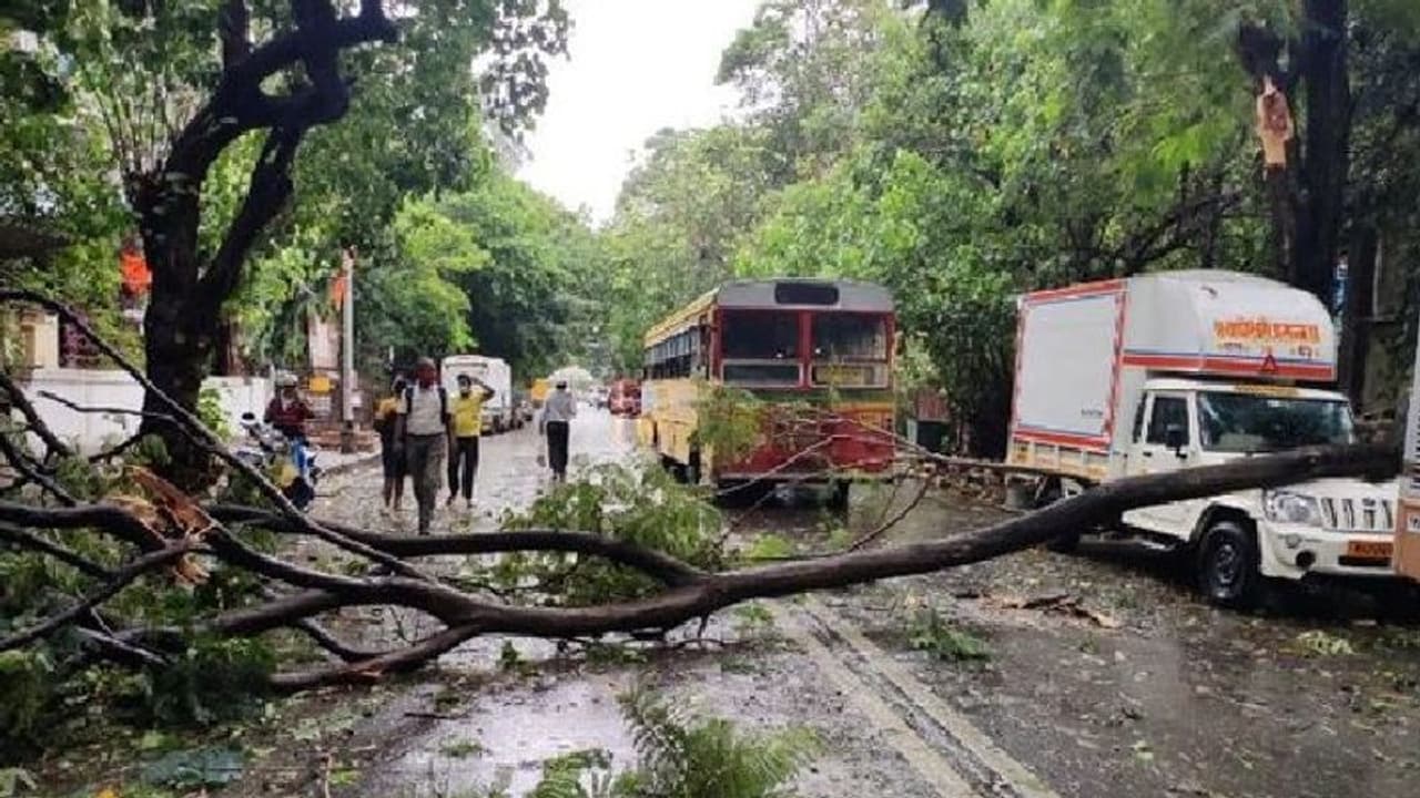 టౌటే తుఫాన్ ఎఫెక్ట్: ముంబైని ముంచెత్తిన వానలు, కేరళ, కర్ణాటక, గోవా రాష్ట్రాల్లో జోరు వర్షాలు టౌటే తుఫాన్ ఎఫెక్ట్: ముంబైని ముంచెత్తిన వానలు, కేరళ, కర్ణాటక, గోవా రాష్ట్రాల్లో జోరు వర్షాలు