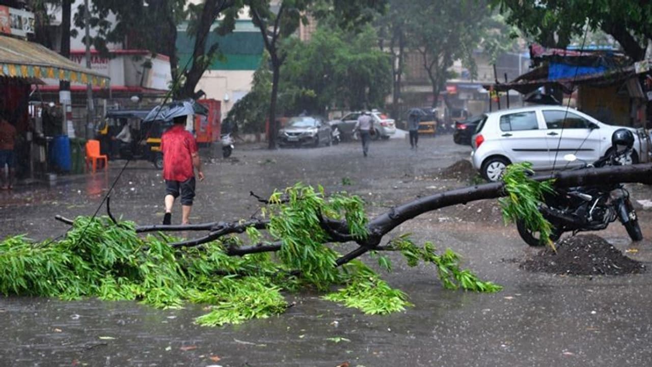 तौकते: गुजरात से डेढ़ लाख लोगों को शिफ्ट किया गया, मुंबई में भारी बारिश के बाद फ्लाइट लोकल ट्रेनें बंद तौकते: गुजरात से डेढ़ लाख लोगों को शिफ्ट किया गया, मुंबई में भारी बारिश के बाद फ्लाइट लोकल ट्रेनें बंद